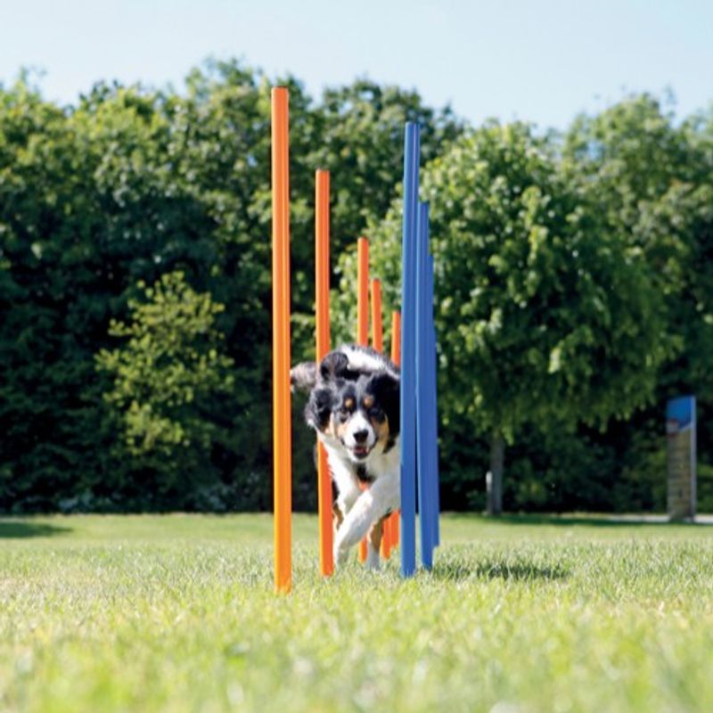 Agility Slalompinner