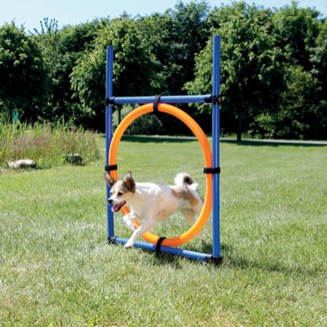 Hovedbilde Agility Hoppering
