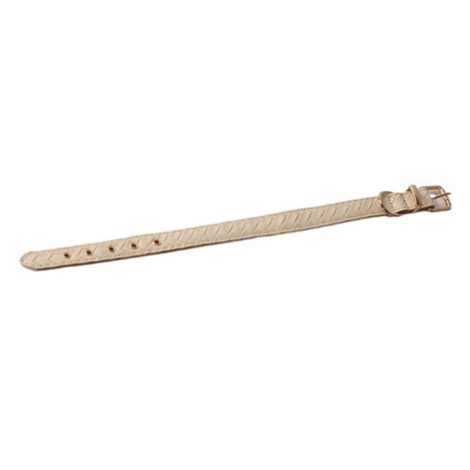 Hovedbilde Beige Design Halsbånd til hund