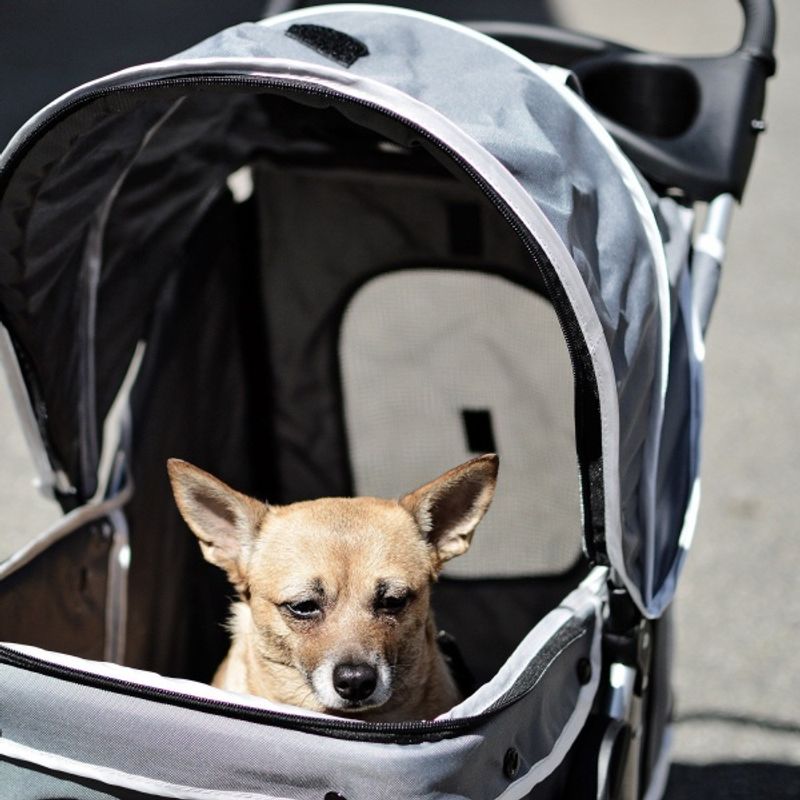 Sort trillevogn til hund - hundevogn med 4 hjul
