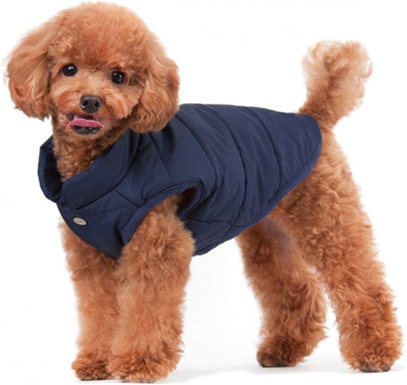 Blå boblevest til hund