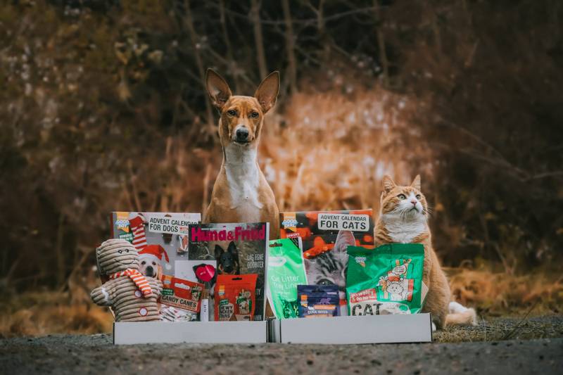 Poteklubben Forundringspakke Hund