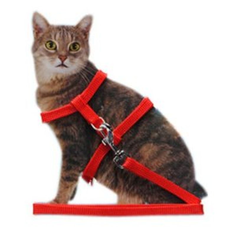 Kattesele med lenke, flere farger