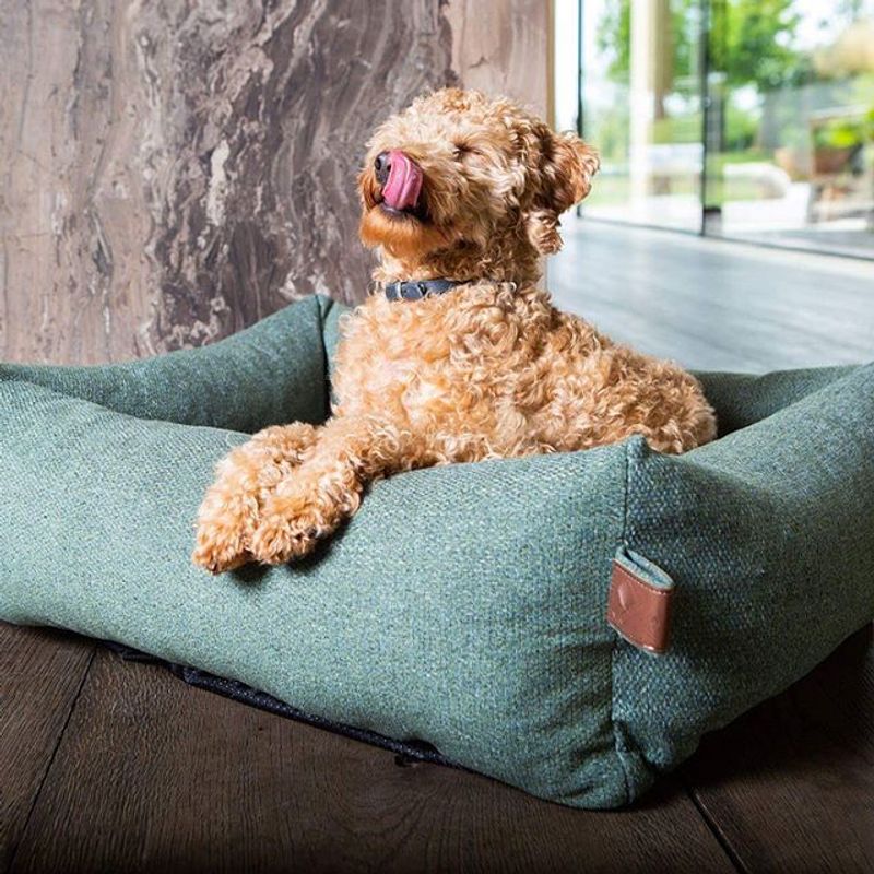 Fantail hundeseng Snug Origin Botanical Green, Str S: 70 x 55 cm