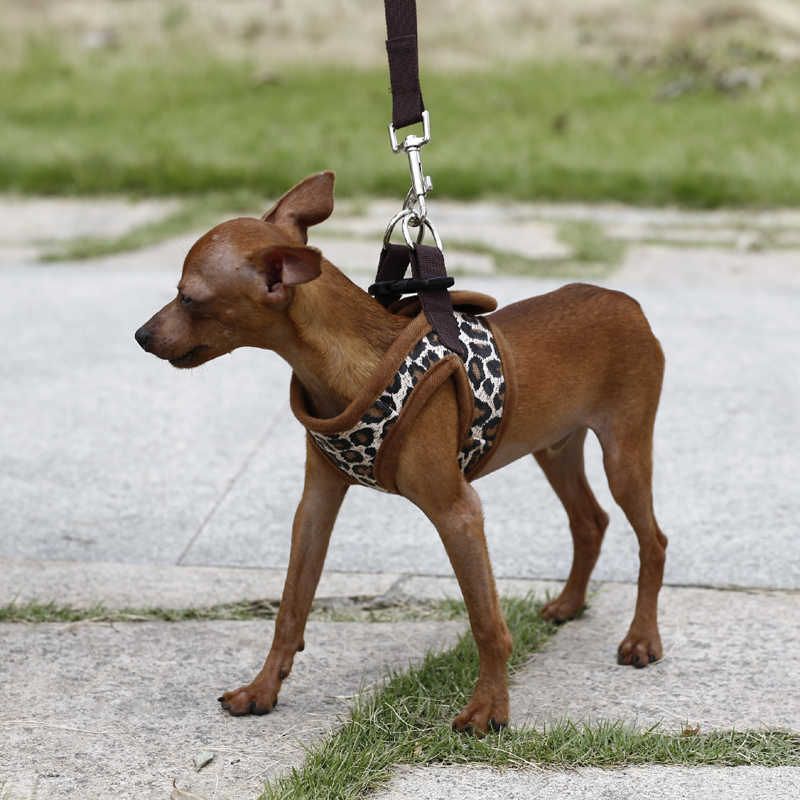 Leopard step-in hundesele