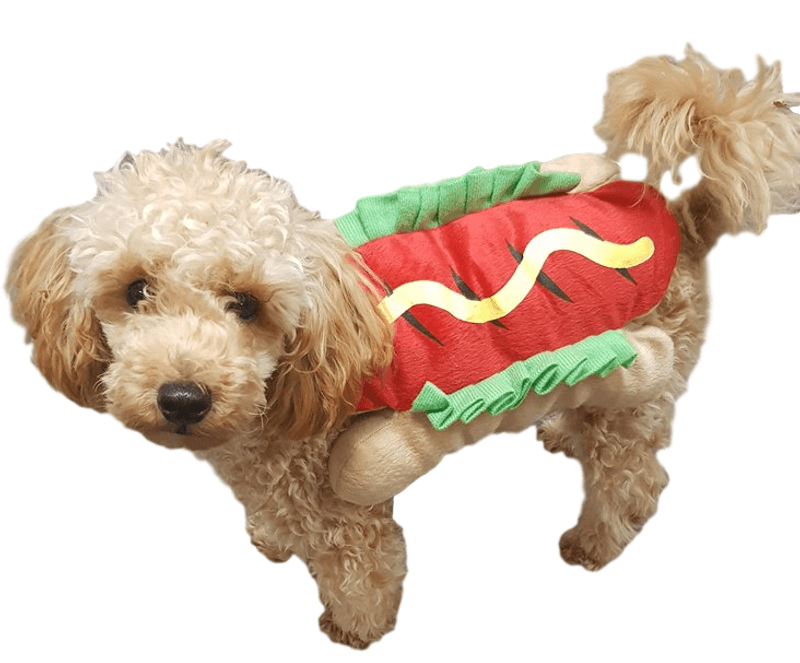 Hotdog hundekostyme