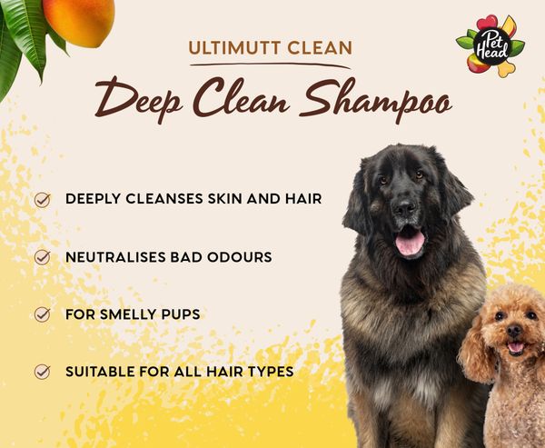 Hovedbilde Pet Head Ultimutt Clean 3in1 hundeshampo