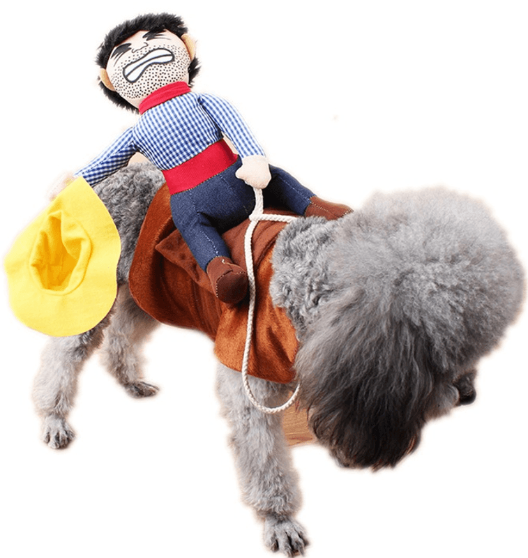 Cowboy hundekostyme