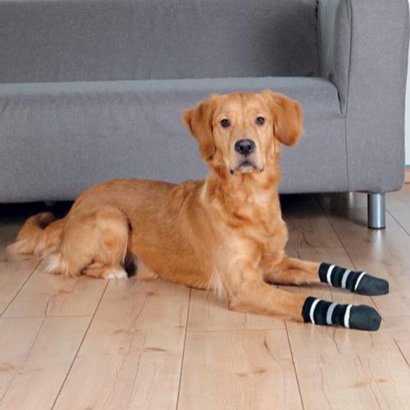 Gummierte stripete hundesokker, 2pk