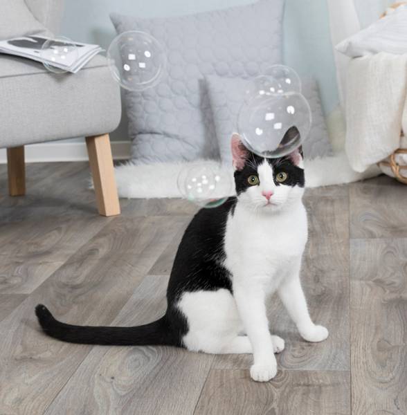 Hovedbilde Catnip såpebobler til katt