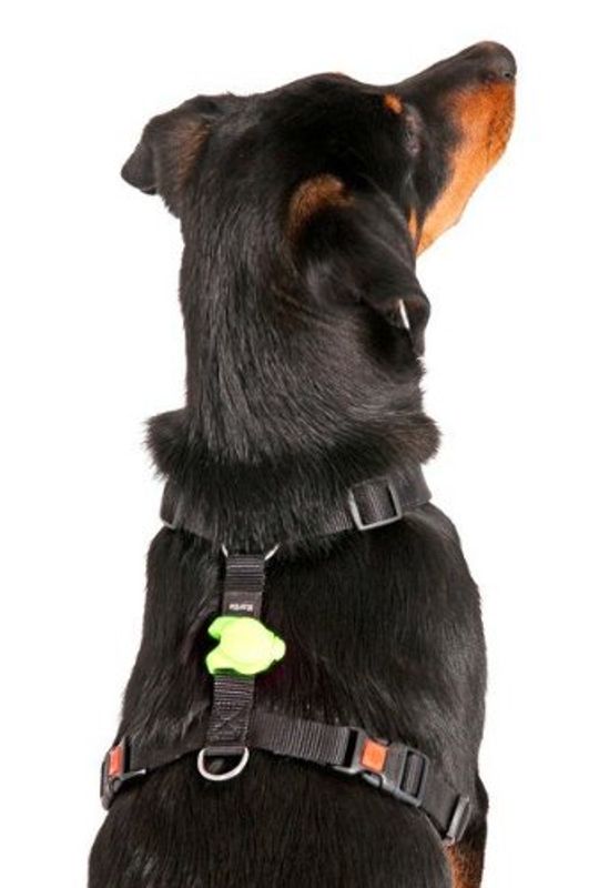 LED lys til halsbånd / selen til hund