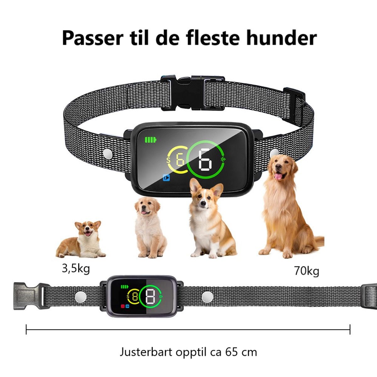 Anti-bjeffehalsbånd med lyd og vibrering