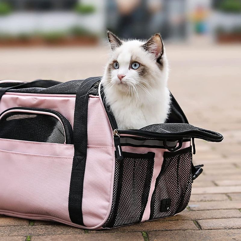 Lyserosa reiseveske til hund og katt