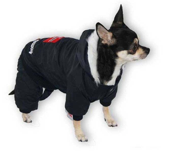 Hovedbilde Vinterdress til hund – Dogs of Norway hundedress