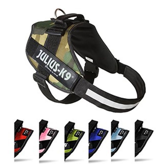 Hovedbilde Knall Rosa - Julius-K9 IDC Hundesele