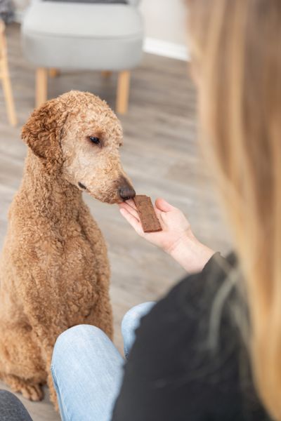 Hovedbilde PREMIO Fileter med lam til hund