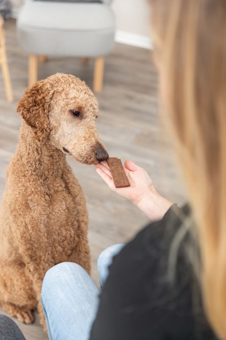 Hovedbilde PREMIO Fileter med lam til hund