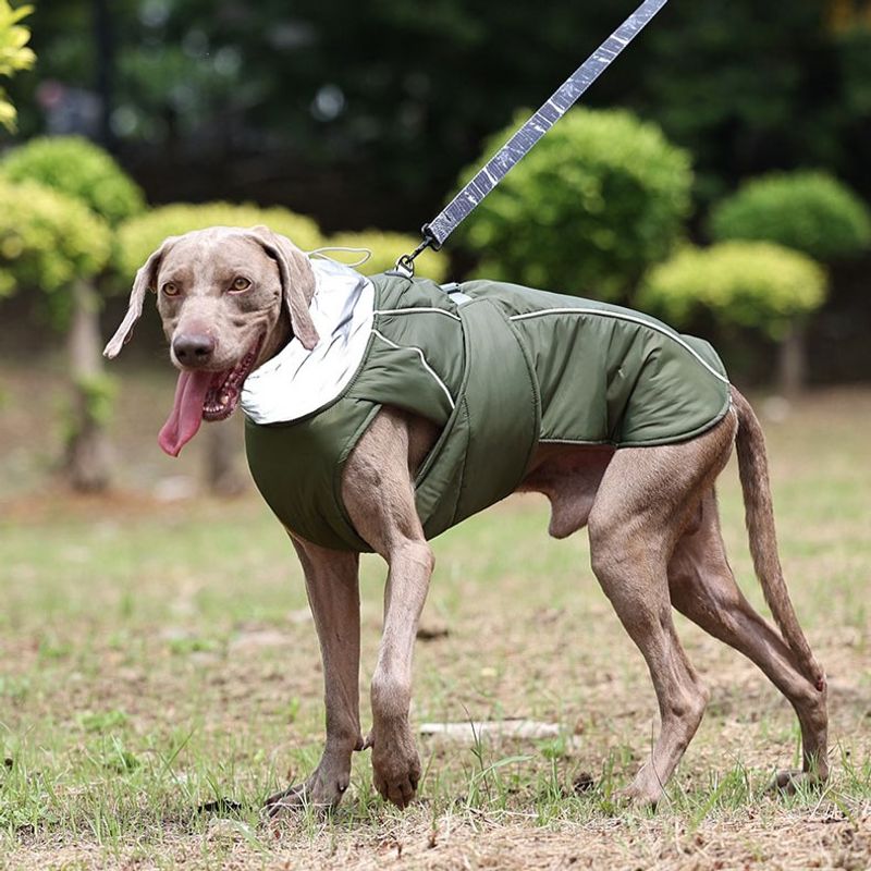 Militærgrønt vannavvisende varmt hundedekken med refleks