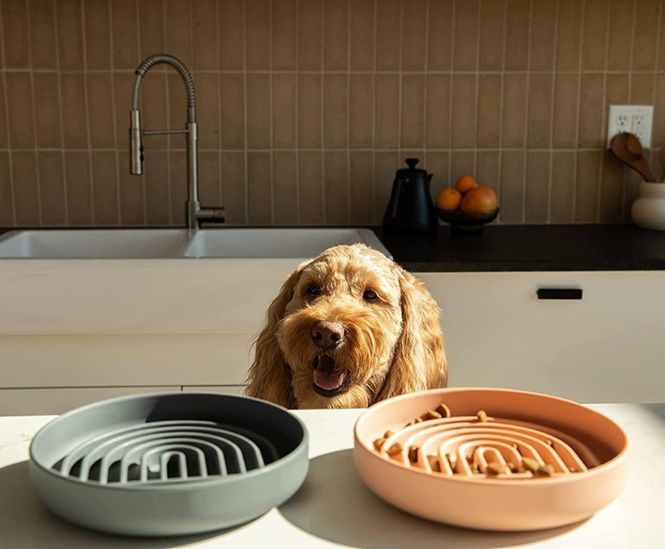 Hovedbilde Grå regnbue slikkematte slowfeeder til hund og katt