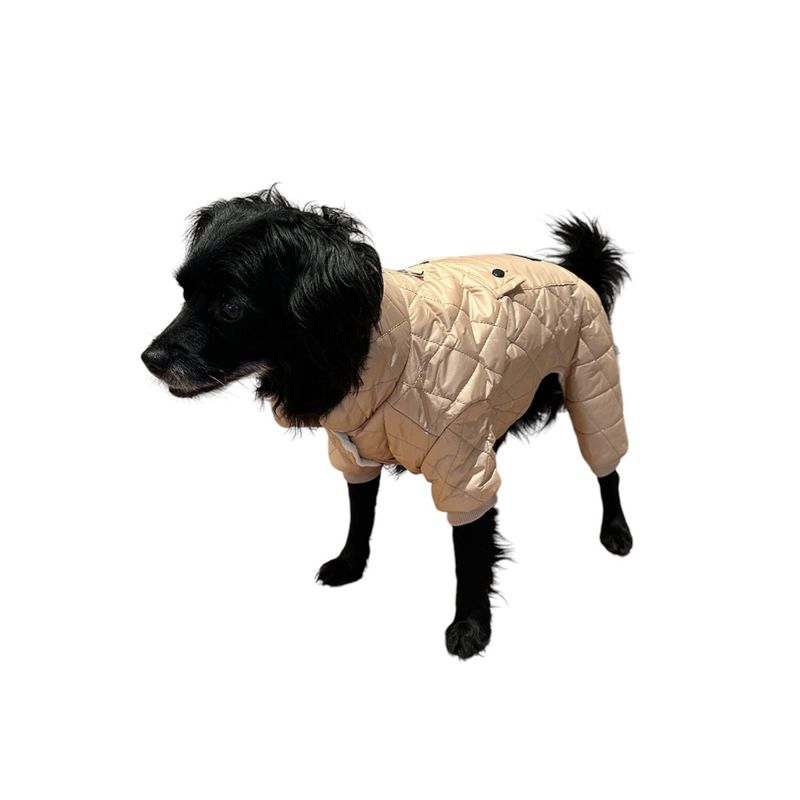 Beige vinterdress til hund