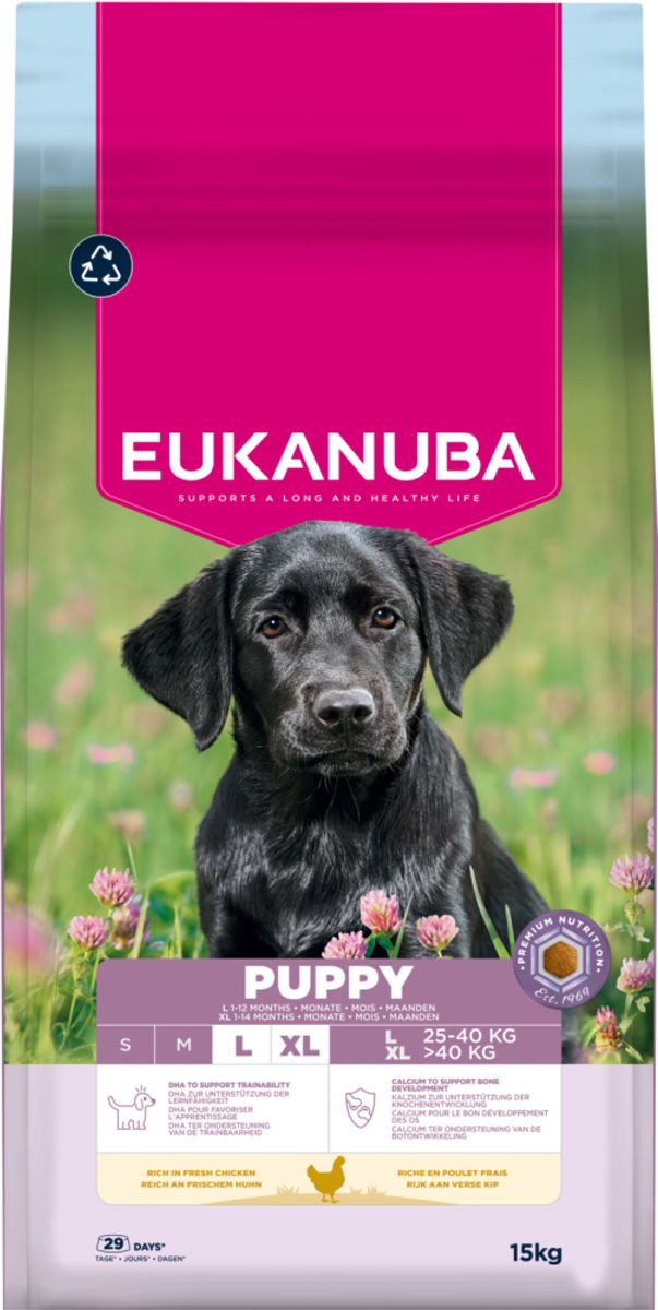 Eukanuba Puppy Large Breed Kylling 15kg