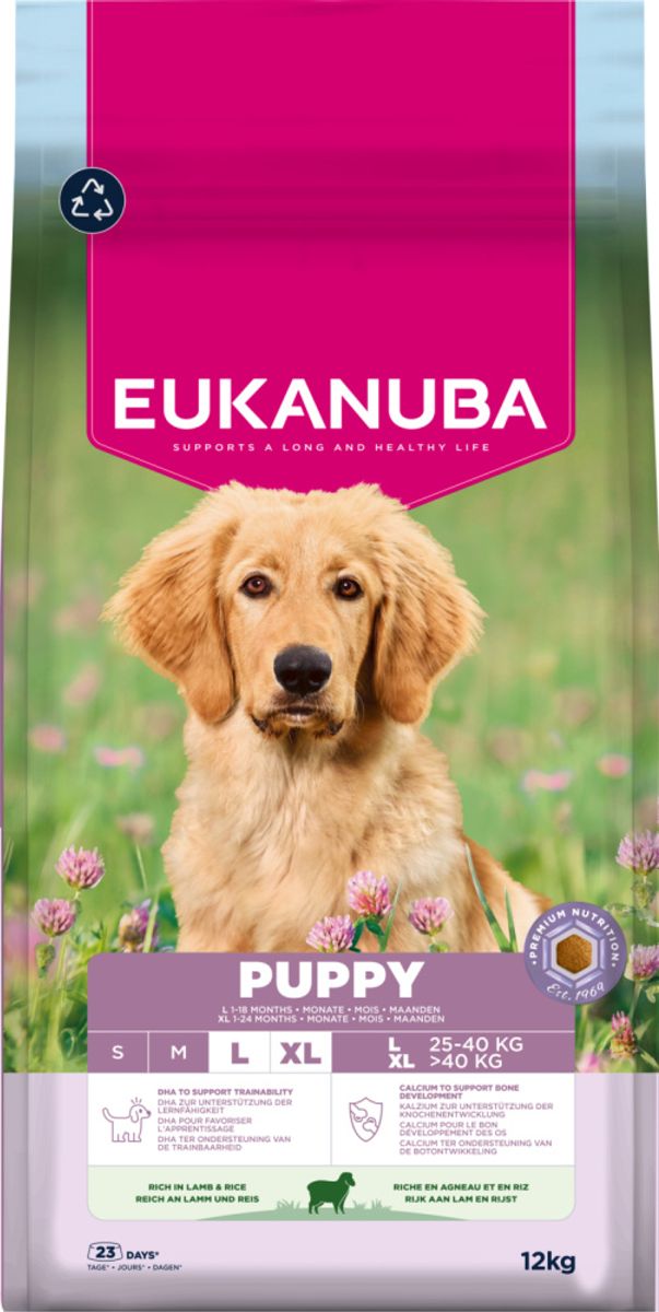 Eukanuba Puppy Large Breed Lam & Ris 12kg