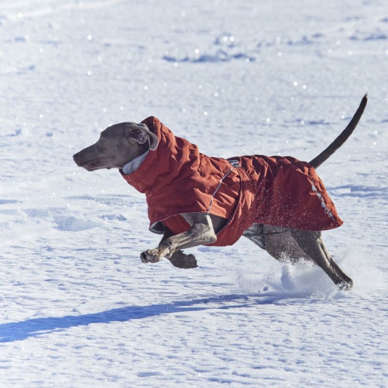 Hurtta Extreme Warmer III ECO hundedekken - Cinnamon Rustrød