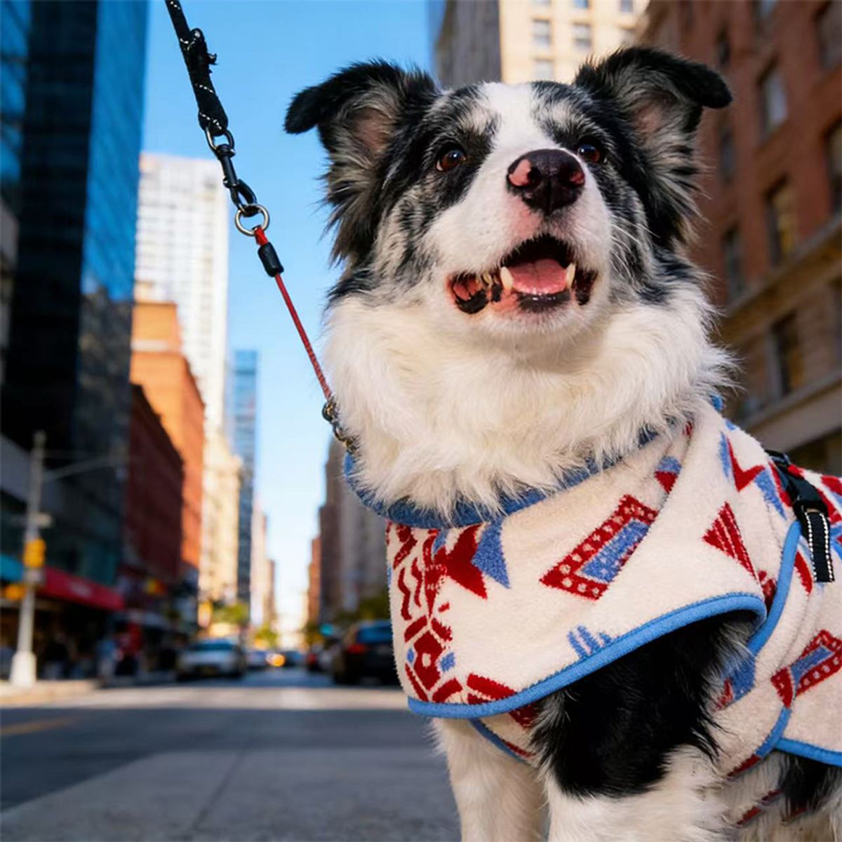 Inca mønstret mykt fleecedekken til hund