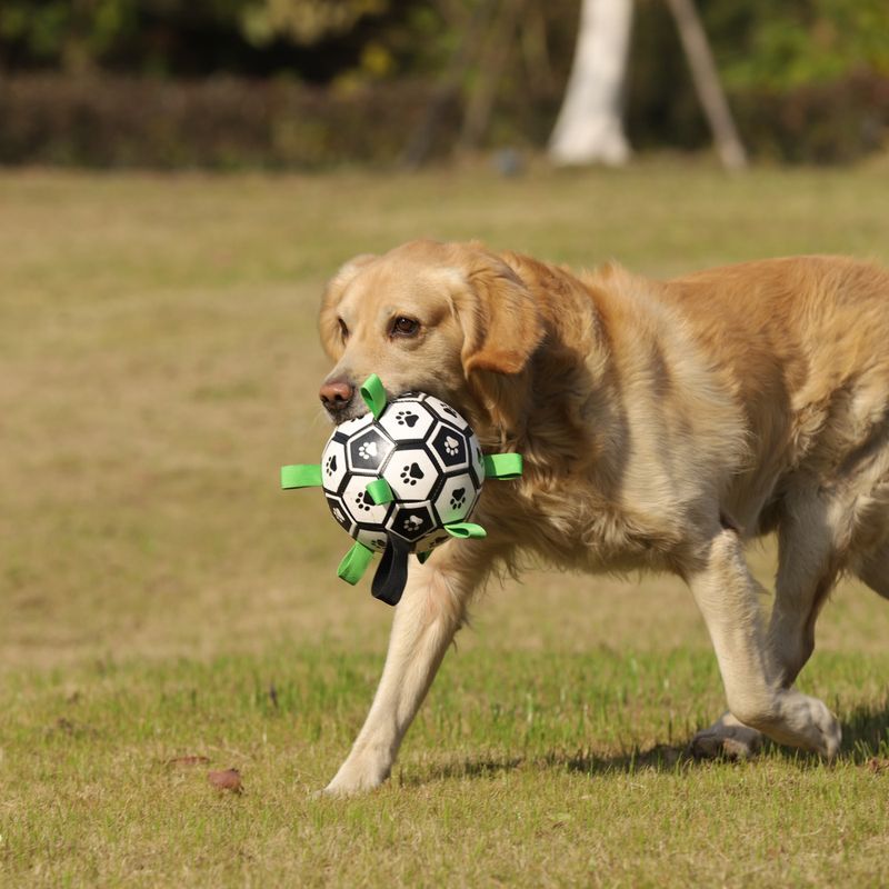 Oppblåsbar fotball til hund - solid, spretten ball for aktiv lek og trening, Ø: 15 cm