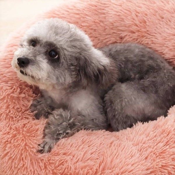 Hovedbilde Rosa Donut hundeseng - Fluffy rund hunde - og katteseng, to str