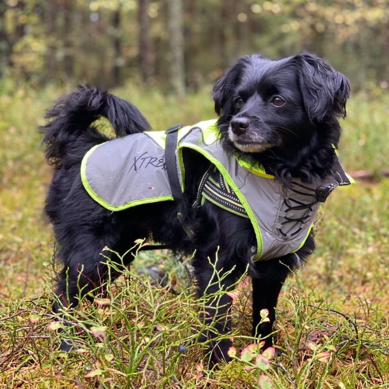 Xtreme Refleks dekken med fleece til hund