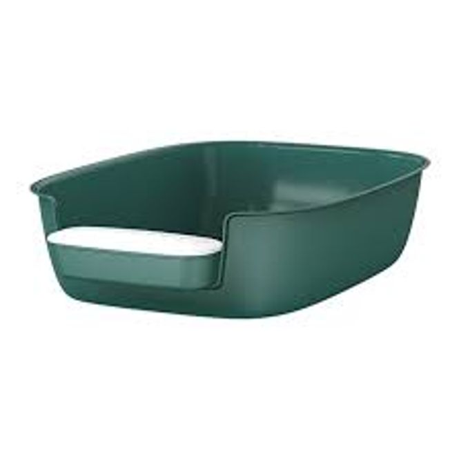 Hovedbilde Grønn trendy kattedo