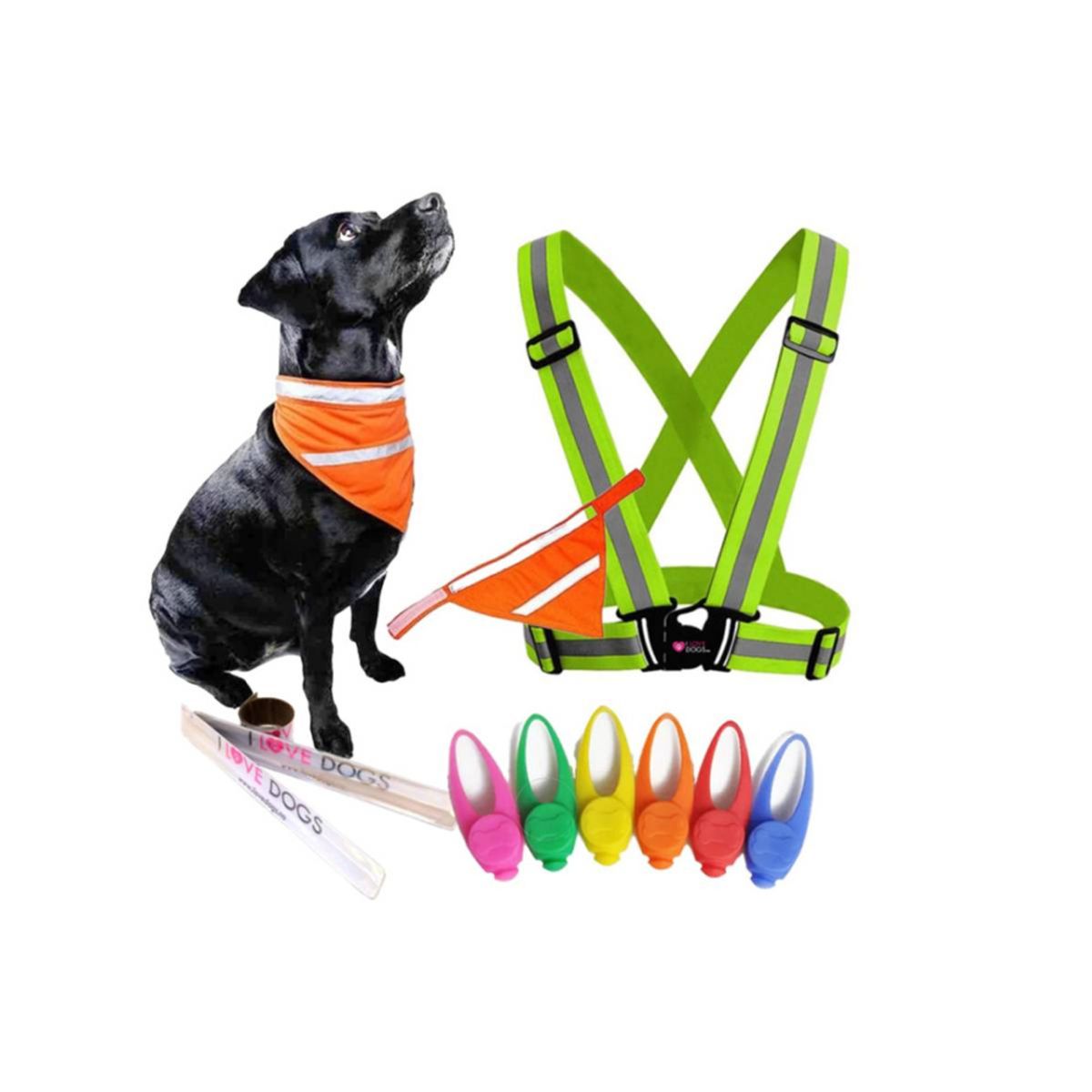 Test - Reflekspakke for hund og eier