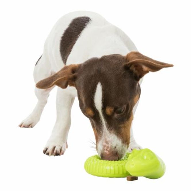 Hovedbilde Slange snackleke til hund