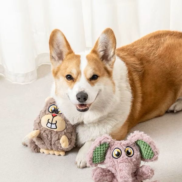 Hovedbilde Kanin hundeleke 20cm