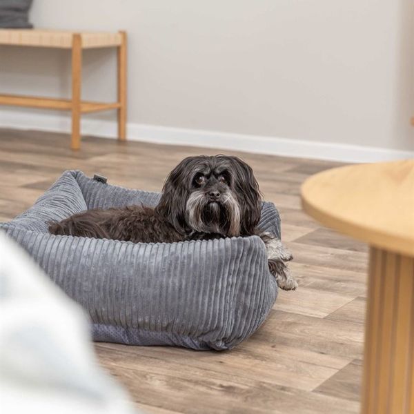 Hovedbilde Mørk grå ortopedisk cord hundeseng 