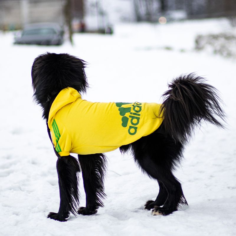 Gul Adidog hundegenser for liten og stor hund