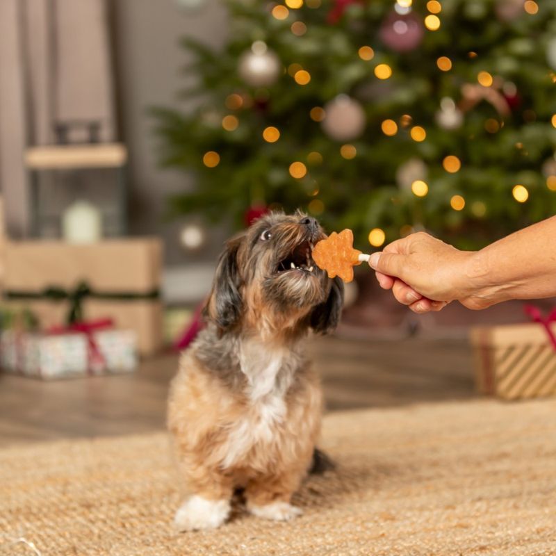 Julefigurer lollipop kjærlighet hundetygg med kylling