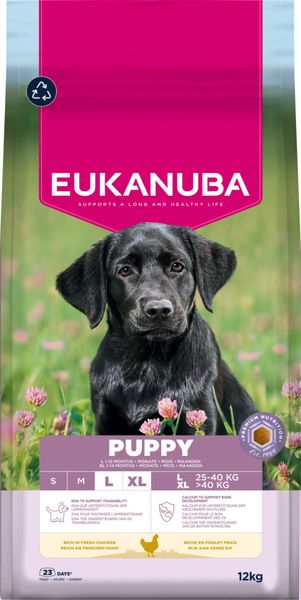 Hovedbilde Eukanuba Puppy Large Breed kylling 12 kg