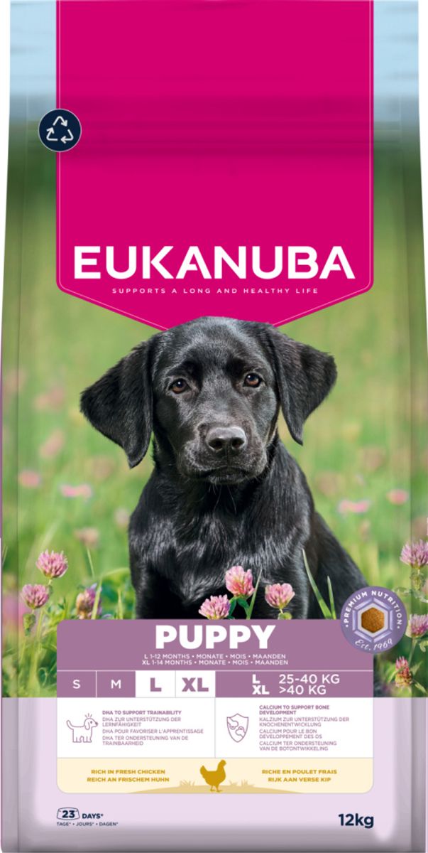 Eukanuba Puppy Large Breed kylling 12 kg