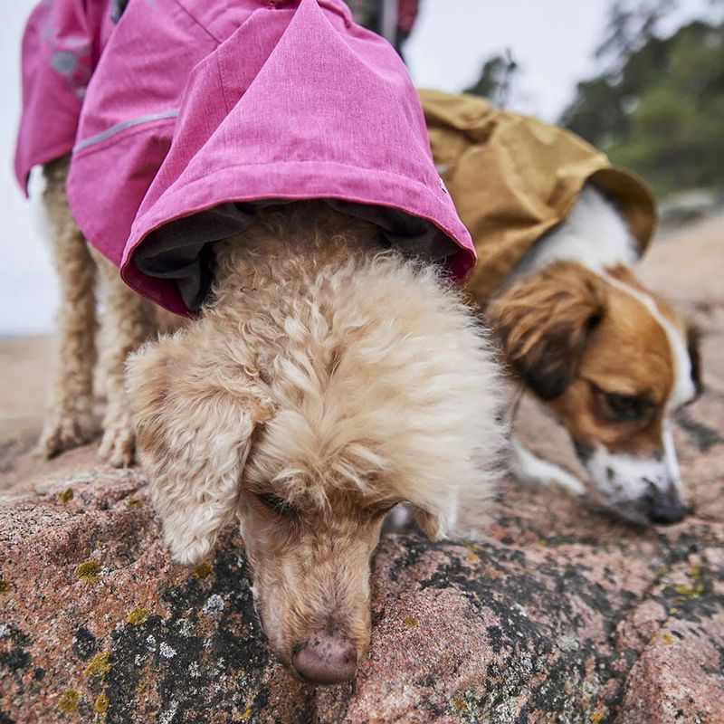 Hurtta Monsoon II ECO hundedekken - Ruby Rosa