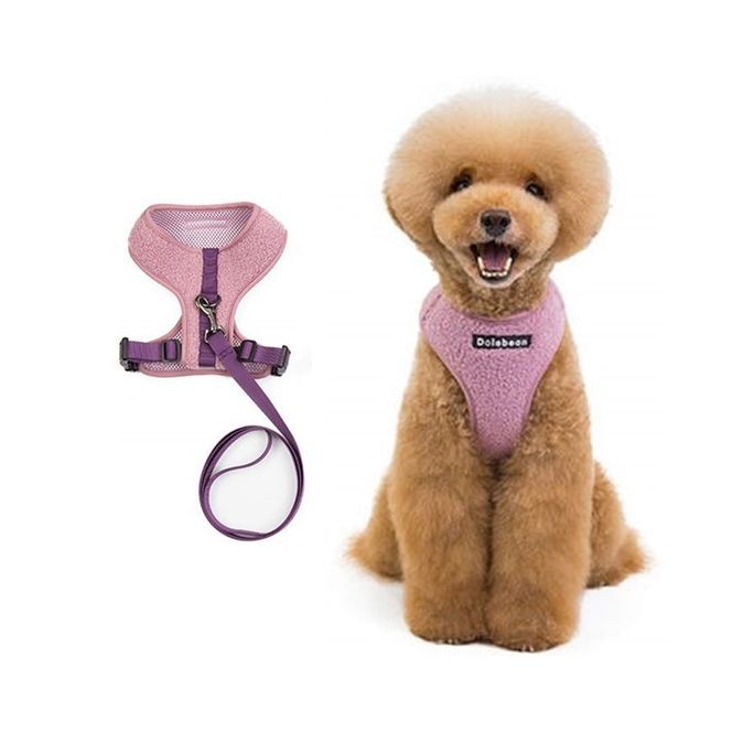 Hovedbilde Lilla teddy hunde- og kattesele