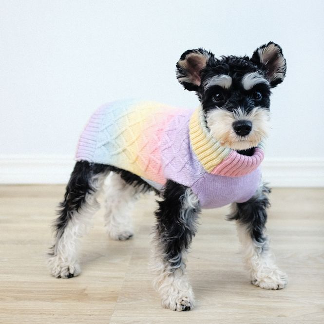 Hovedbilde Pastell regnbue ombre strikket hundegenser 