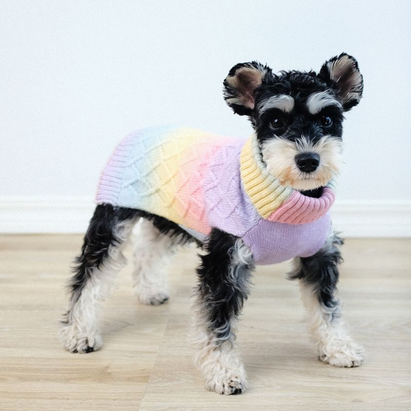 Pastell regnbue ombre strikket hundegenser 