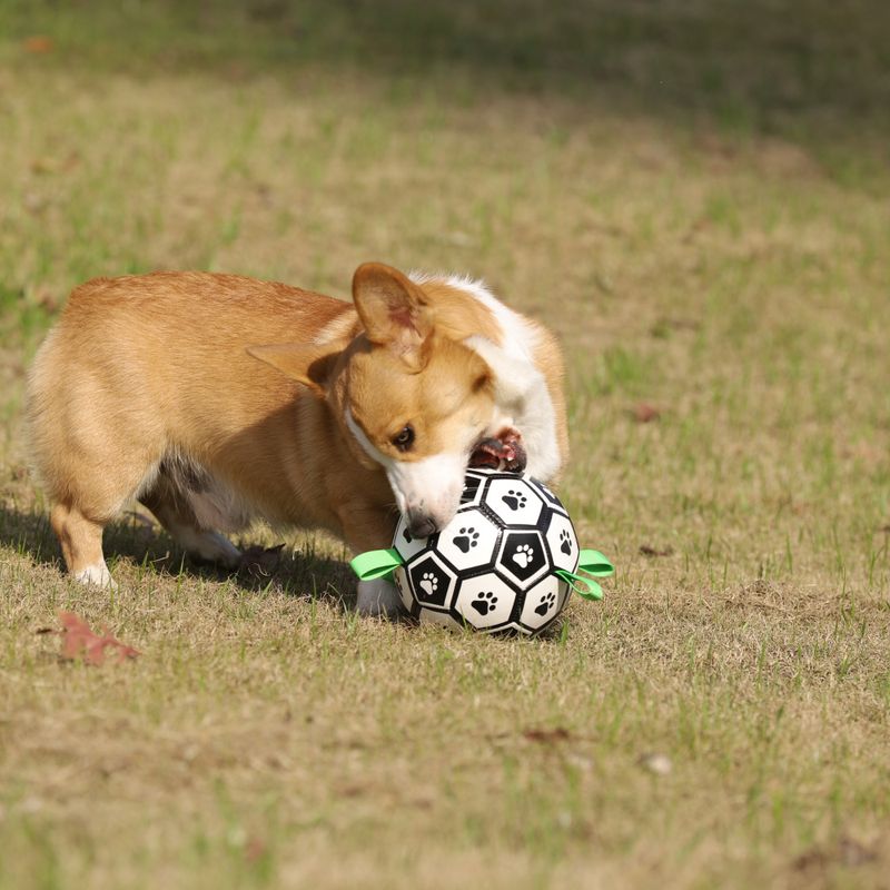 Oppblåsbar fotball til hund - solid, spretten ball for aktiv lek og trening, Ø: 15 cm