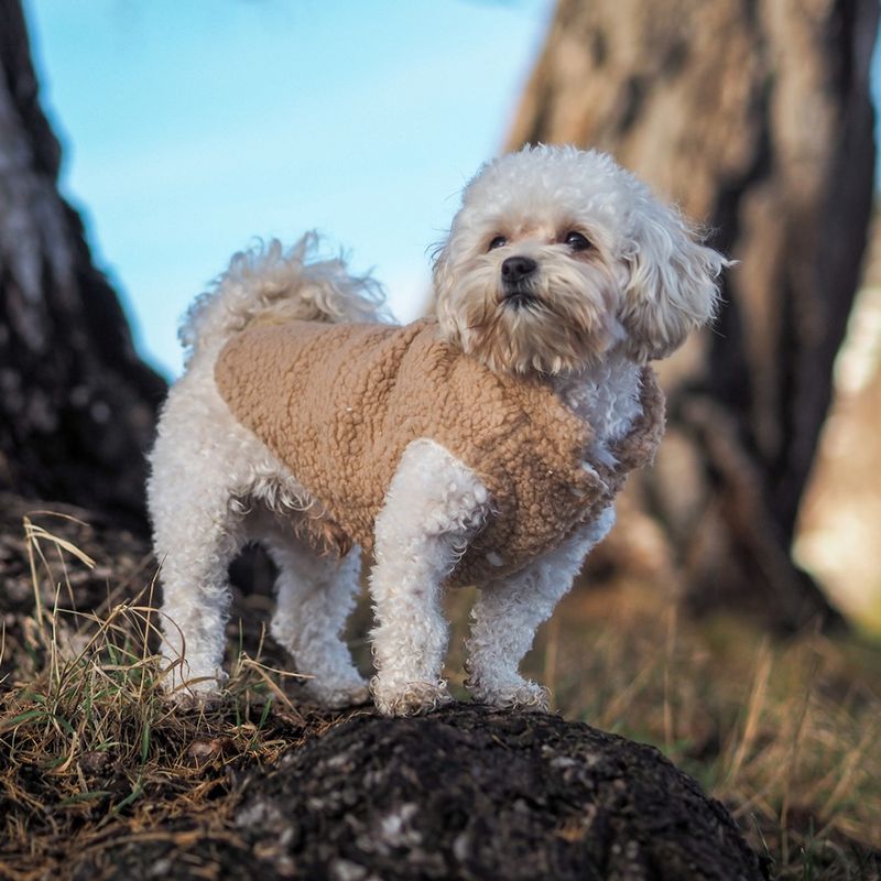 Teddy hundevest - Tan