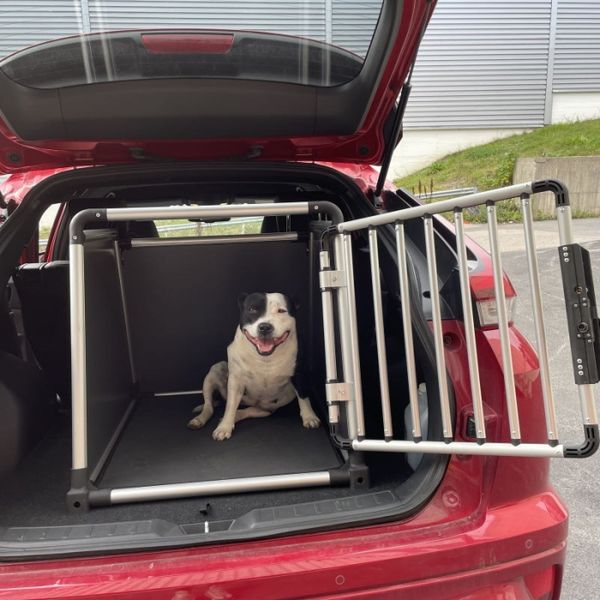 Hovedbilde Large/Dypt bilbur til hund: 83x68x66cm