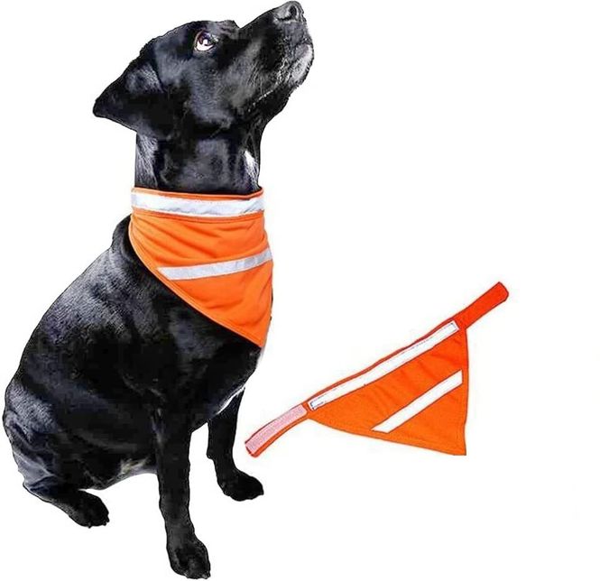 Hovedbilde Reflekspakke for hund og eier