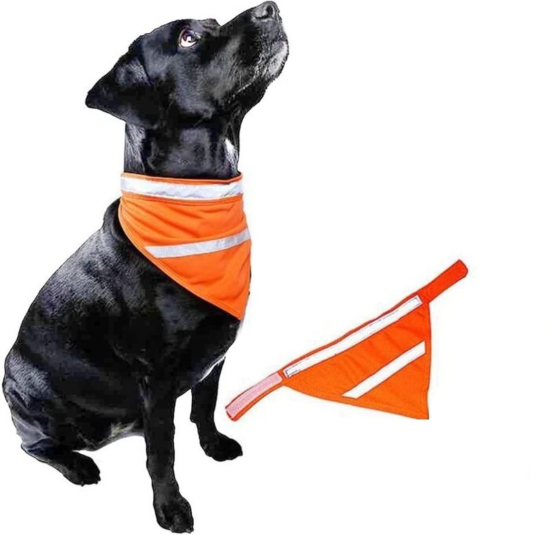Reflekspakke for hund og eier