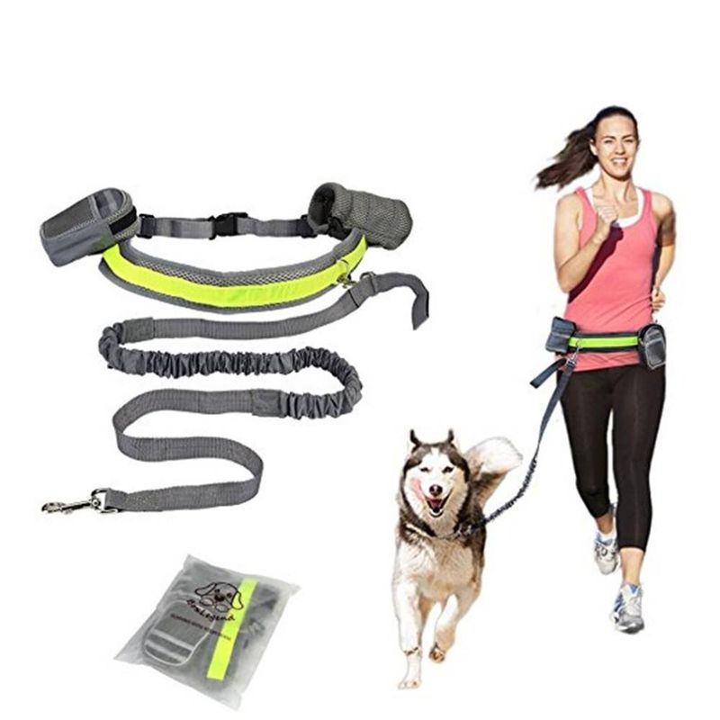 Joggebelte med lenke, hundeposeholder og snackslomme
